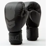 EVERLAST Boxhandschuhe, 6 oz