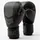 EVERLAST Boxhandschuhe, 6 oz