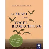 Freya Die Kraft der Vogelbeobachtung 63 Anleitungen zu kleinen Auszeiten im Alltag
