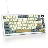 SOLIDEE Verkabelte Mechanische Gaming Tastatur 75 Prozent,hot-swap-fähige Mechanische Tastatur mit Gasket Struktur,RGB Hintergrundbeleuchtung,82 Tasten TKL Tastatur mit Drehknopf(82 Glimmer)