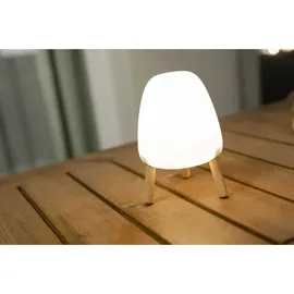 NEW GARDEN Rocket 20 Weiß