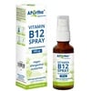 Vitamin B12 500 μg Methylcobalamin Spray 25 ml