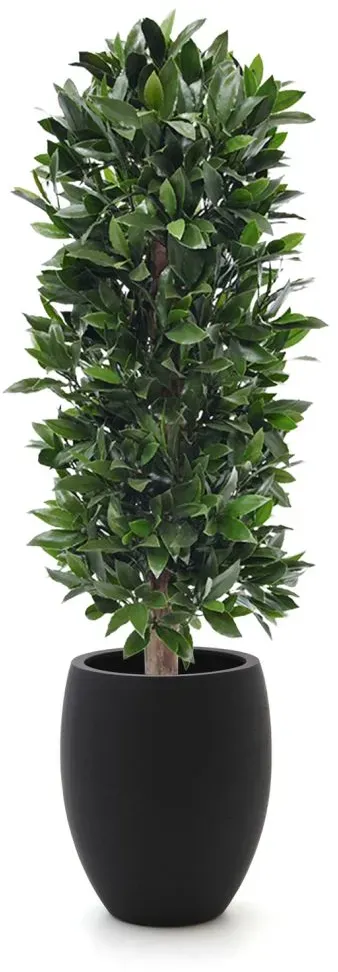 + 10 % Kassenrabatt | Designplants/Luca Lifestyle Lorbeer Säule Kunstpflanze (h:125 cm) mit Grigio Tall Balloon Blumentopf