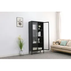 Mein-Regal Vitrine Glasgow Schwarz aus Metall mit Glastüren