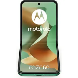 Motorola Razr 60 8 GB RAM 256 GB Pantone Spring Bud
