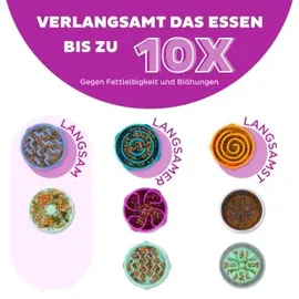 Outward Hound Fun Feeder Slo Bowl