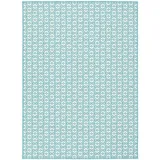 Snapstyle In-, und Outdoor Teppich Beidseitig Cape Cod Türkis, 80x200cm