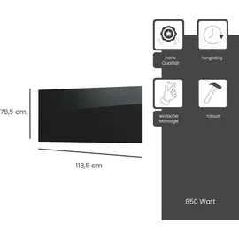 Fenix Infrarotheizung ECOSUN Glasheizung 850W 118,5 x 78,5 x 3,9cm), Schwarz