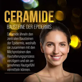 Kräuterhaus Sanct Bernhard Anti-Aging SB 500 Creme 100 ml