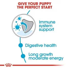 Royal Canin Maxi Junior 15 kg