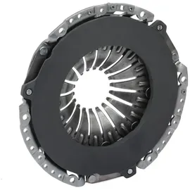 Sachs Performance Kupplungsdruckplatte