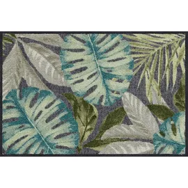 SALONLOEWE Fussmatte Coco anthrazit I Schmutzfangmatte & Fußabtreter für Innen 50 x 75 cm