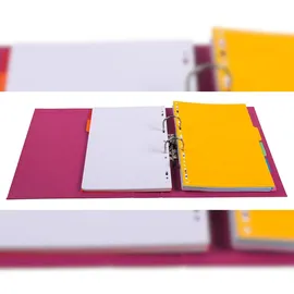 Exacompta 53074E Ringmappe A4 Mehrfarbig