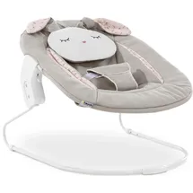 hauck Alpha Bouncer 2in1