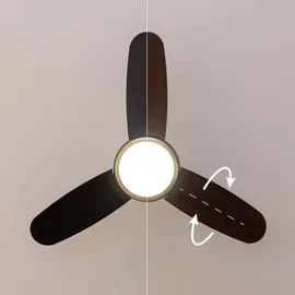 Cecotec EnergySilence Aero 4265 106,68 cm Deckenventilator Gold/Schwarz
