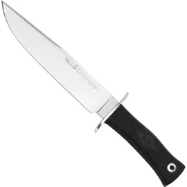 Sarrio (61737)