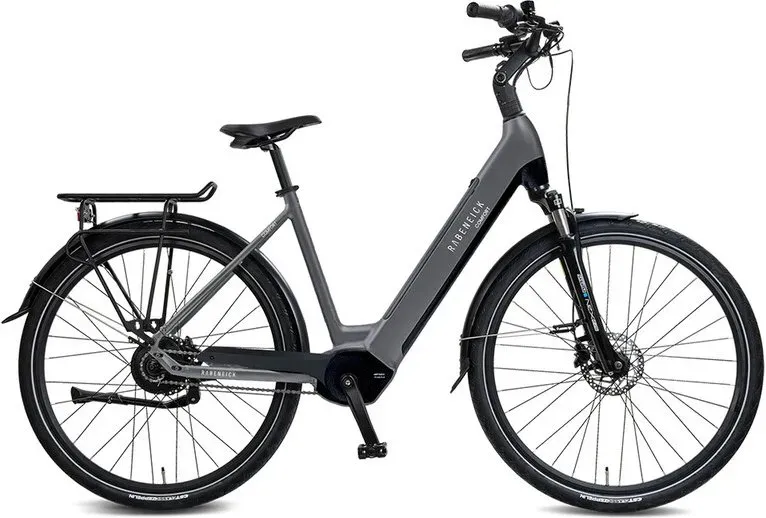Rabeneick Comfort E-Bike Wave 51 grau