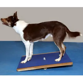 FitPAWS Giant Rocker Board, 75cm x 75cm