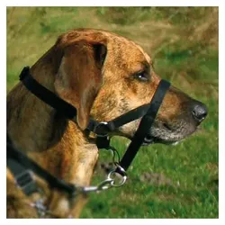 Trixie Top Trainer Ausbildungsgeschirr - max. 27 cm