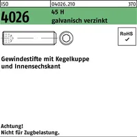 F. REYHER Nchfg. GmbH & Co. KG Gewindestift ISO 4026 Kegelkuppe/Innen-6kt M16 x 30 100 Stück