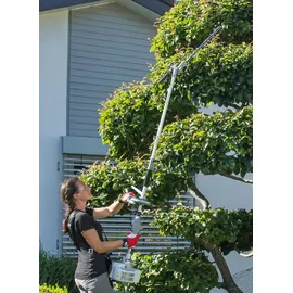 Ikra mogatec IKRA Multitool IBKH 33-1 Benzin 4in1: Freischneider Rasentrimmer Entaster Heckenschere