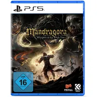 Flashpoint Mandragora: Whispers of the Witch Tree (PlayStation 5)
