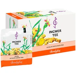 Ingwer Tee Filterbeutel