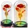 Wisam® Ewige Kristallrose in Kuppel mit LED-Beleuchtung 21 x 11 cm 1-tlg. Rot/Rosa