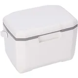 Kleine 6-Liter-Kühlbox mit 5 Kühlakkus, 72–96 Stunden Kühlung – auslaufsichere, isolierte Gefrierbox mit Griff für Grillen, Camping, Reisen