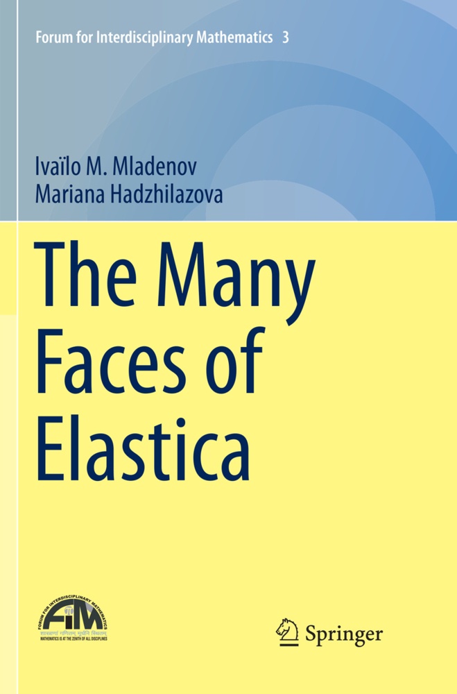The Many Faces Of Elastica - Ivaïlo M. Mladenov  Mariana Hadzhilazova  Kartoniert (TB)
