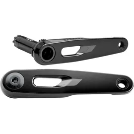 Sram rival e1 dub crankarm assembly black - 175 mm)