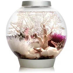 biOrb CLASSIC 15 LED silber (72000)