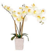 McPalms Orchidee 55 cm hoch mit Topf Weiss Kunstpflanze künstlich