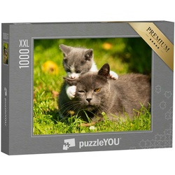 puzzleYOU Puzzle Puzzle 1000 Teile XXL „Katzenmutter mit ihrem kleinen Kätzchen im Gras, 1000 Puzzleteile, puzzleYOU-Kollektionen Katzen-Puzzles