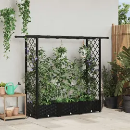 vidaXL Hochbeet mit Rankgitter und Dach 164 x 40 x 123 cm Schwarz