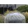 Showgear Sleeve for Rain Dome 60 Zylindrische Hülle - Ø 60 cm - 62 cm hoch