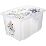 KEEEPER Aufbewahrungsbox Karolina 45 l 1-tlg. Transparent