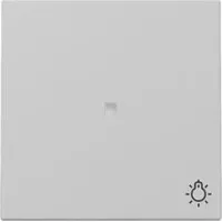 Gira Wippe mit Kontrollfenster und Symbol Licht, grau matt