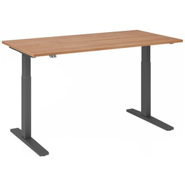 Hammerbacher XMKA16 elektrisch höhenverstellbarer Schreibtisch nussbaum rechteckig, C-Fuß-Gestell grau 160,0 x 80,0 cm