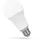 TOOLIGHT LED-Birne 11,5W E27 1070 lm Tageslichtweiß 6000K