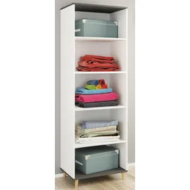 VCM Holz Kleiderschrank Schuhregal Flur Regal Landos 60 x 39 x 184 cm schwarz