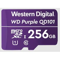 SD card,SDCS/256GB,Class10