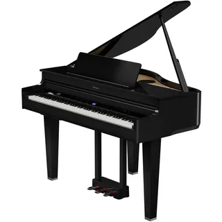 Roland GP-6 schwarz