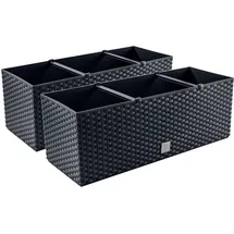 Prosperplast Balkonkasten 51,5 x 19,5 x 18,5 cm Anthrazit