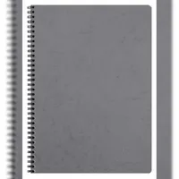 Clairefontaine 5x Spiralbuch Age Bag A4 kariert 40Bl grau