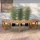 deluke Baumbank 250 x 125 x 45 cm Braun