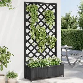 vidaXL Pflanzkübel mit Spalier 365481 60 x 30 cm Schwarz