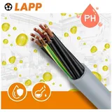 Lapp Lapp, 10m Ölflex Classic 110 Steuerleitung 12G0,75 mm2 - PVC Steuerkabel