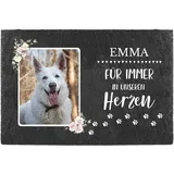 PfotenSchild Schieferplatte Gedenktafel für Hund & Katze - mit Foto und Name Bedrucken - Für Immer in unseren Herzen - Tiergrabstein, wetterfest - Schiefertafel 20x30cm I personalisiert