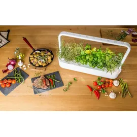 Click & Grow Smart Garden 9 60,4 x 18,4 x 39,6 cm grey